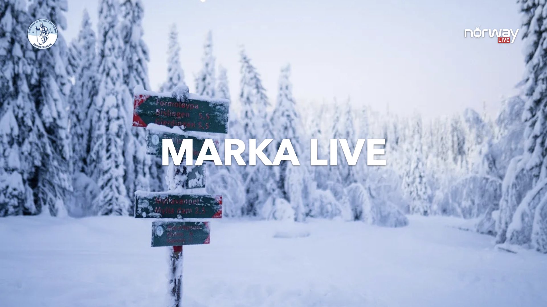 Marka LIVE