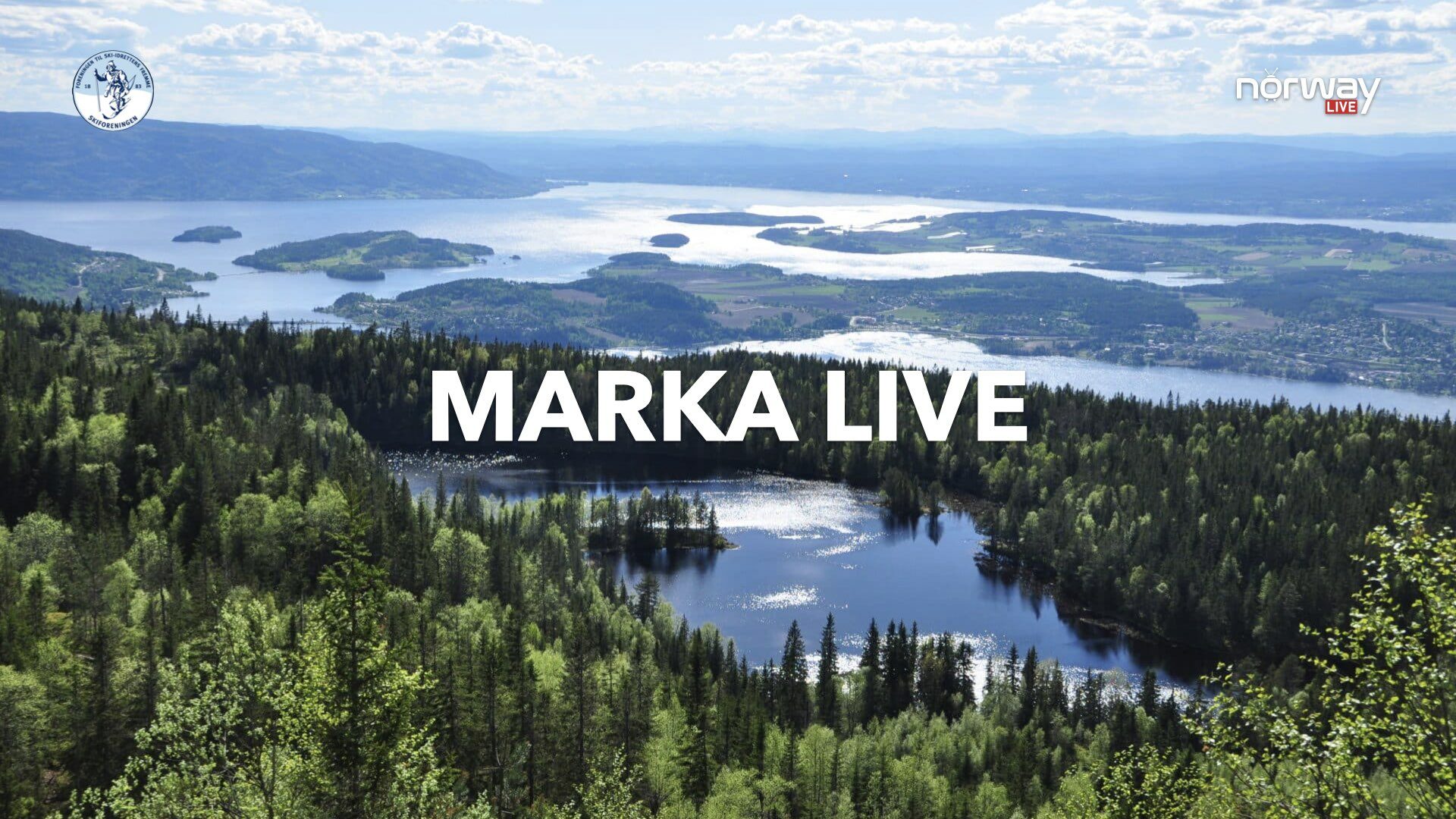 Marka LIVE