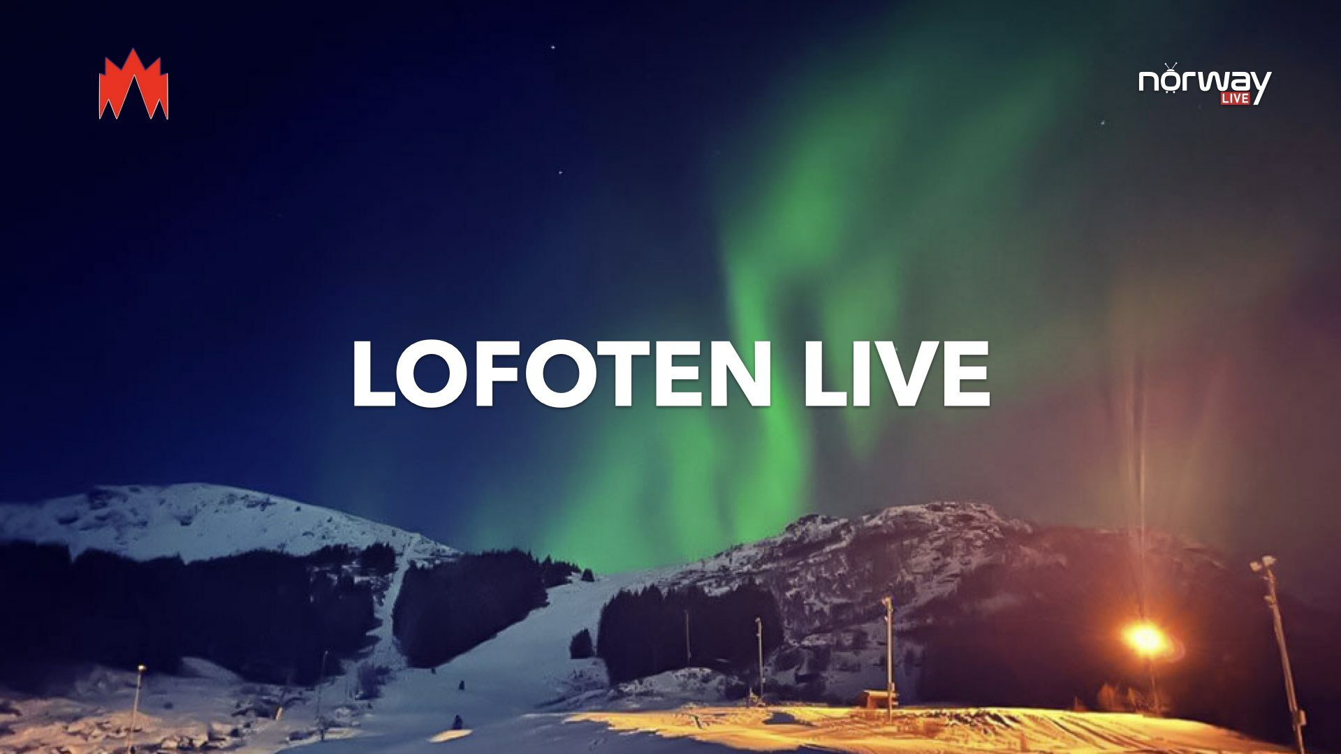 Lofoten Live